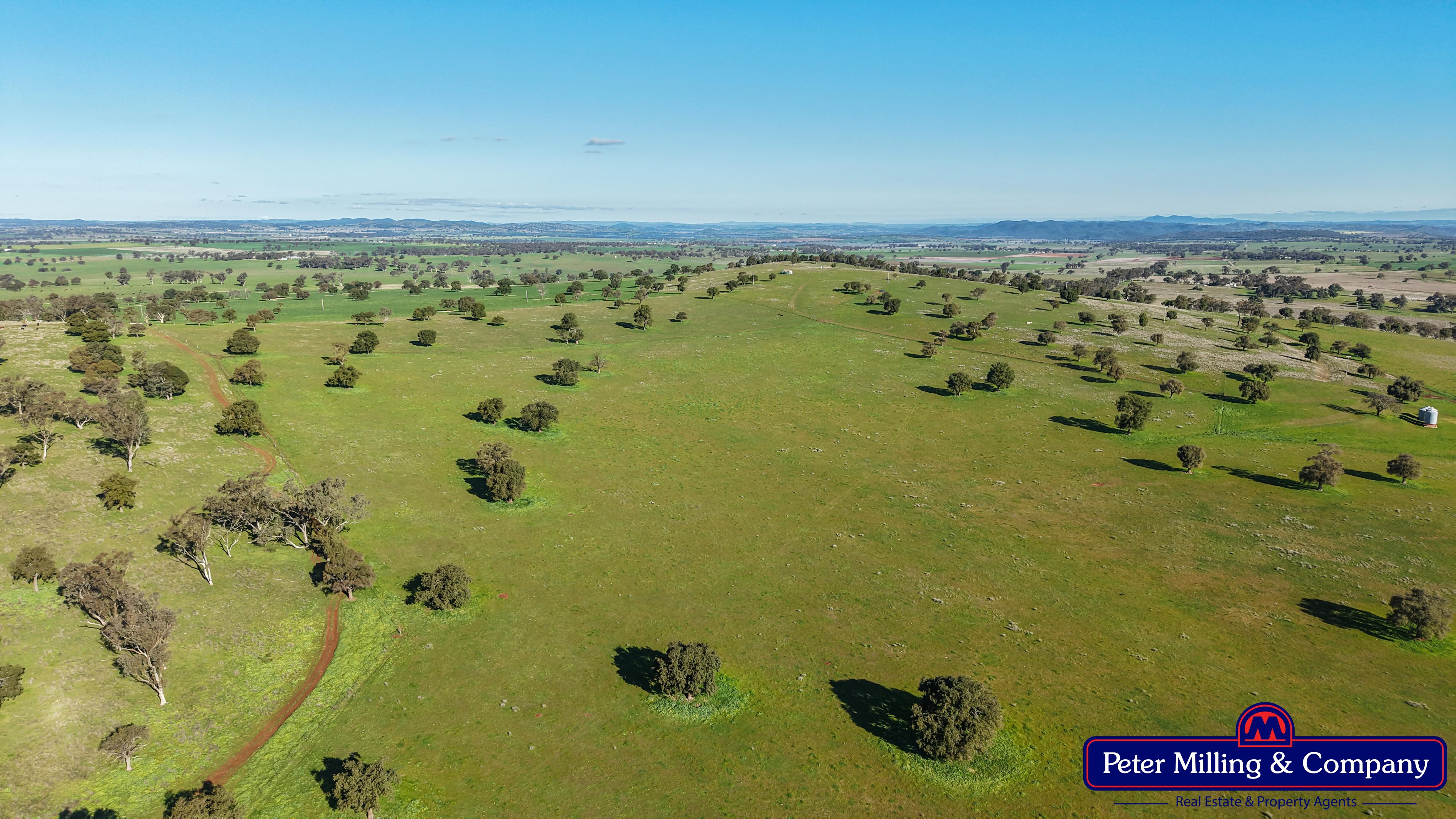3 bedroom mixed farming property at 66 Kalua Lane, Geurie NSW 2818