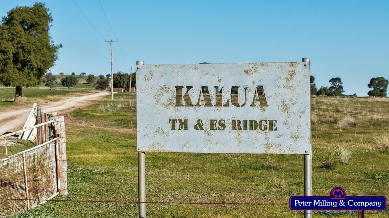 3 bedroom mixed farming property at 66 Kalua Lane, Geurie NSW 2818