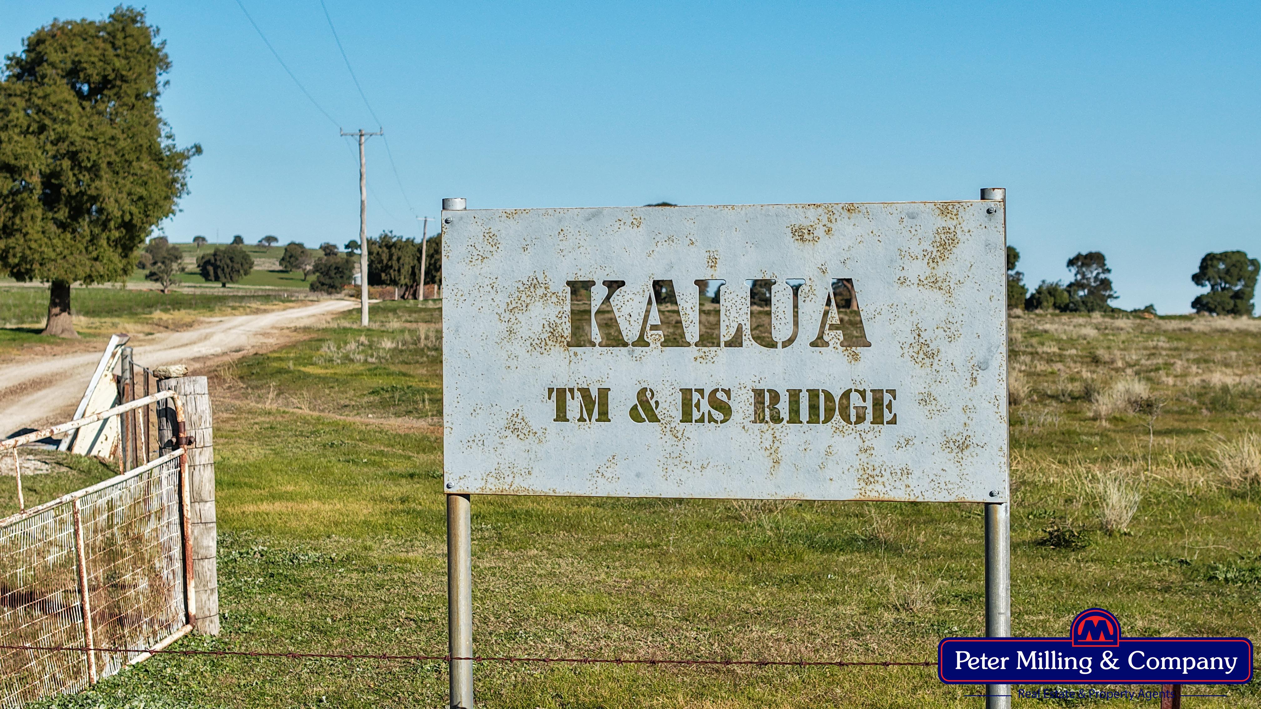 3 bedroom mixed farming property at 66 Kalua Lane, Geurie NSW 2818