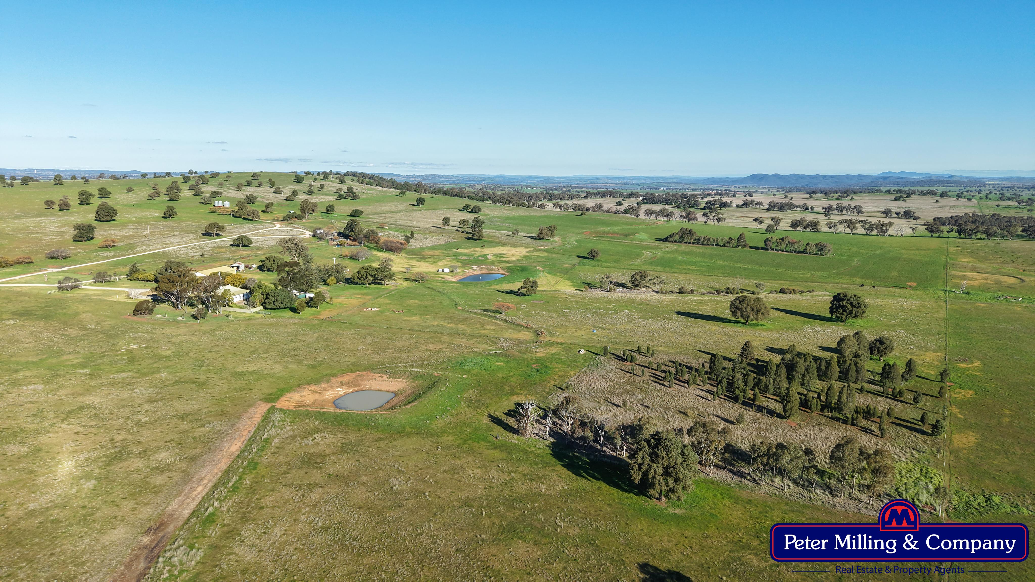 3 bedroom mixed farming property at 66 Kalua Lane, Geurie NSW 2818