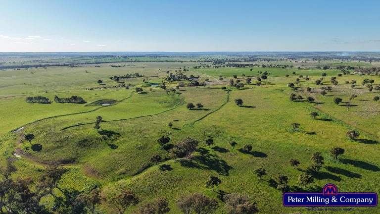 3 bedroom mixed farming property at 66 Kalua Lane, Geurie NSW 2818