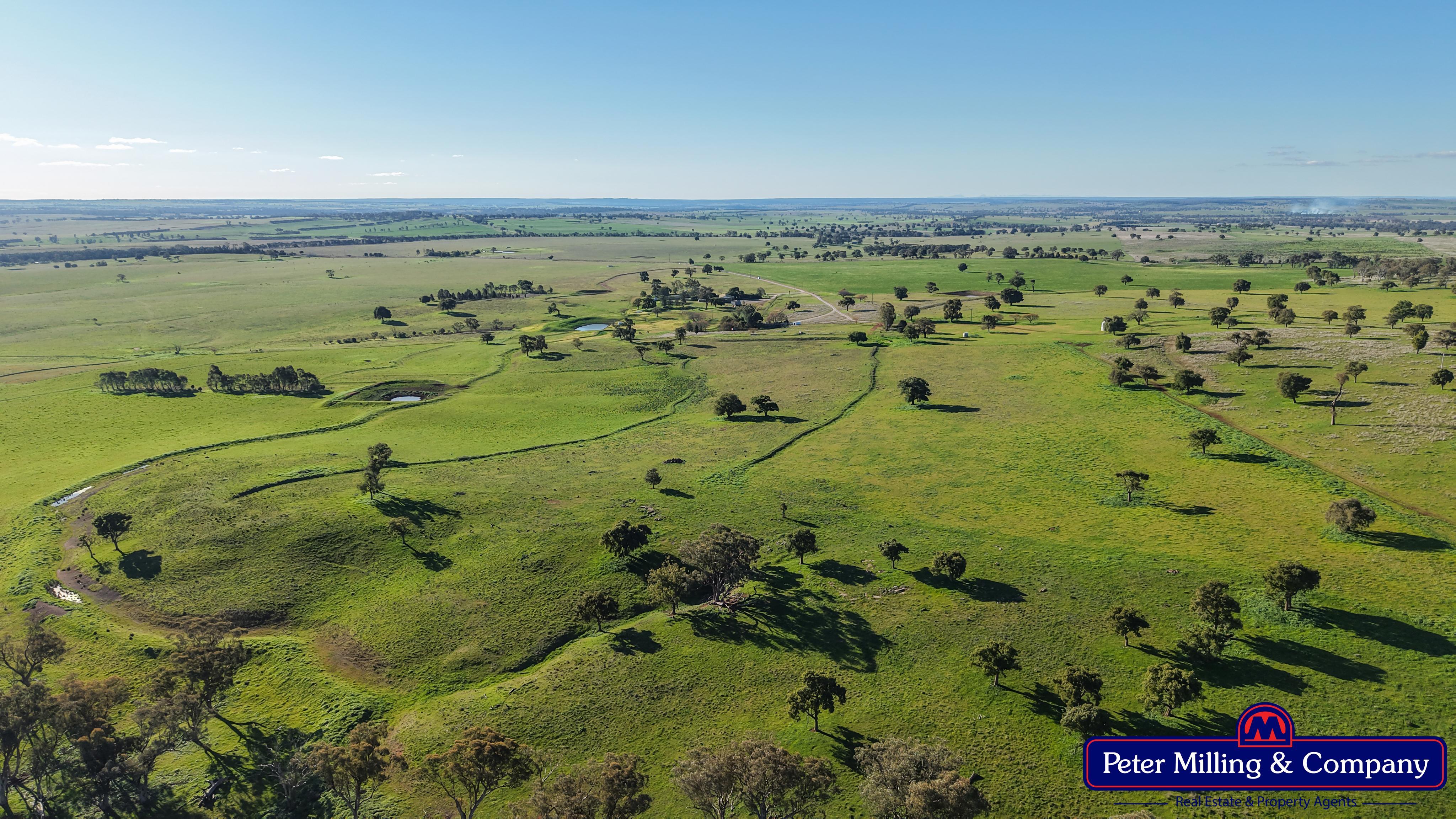 3 bedroom mixed farming property at 66 Kalua Lane, Geurie NSW 2818