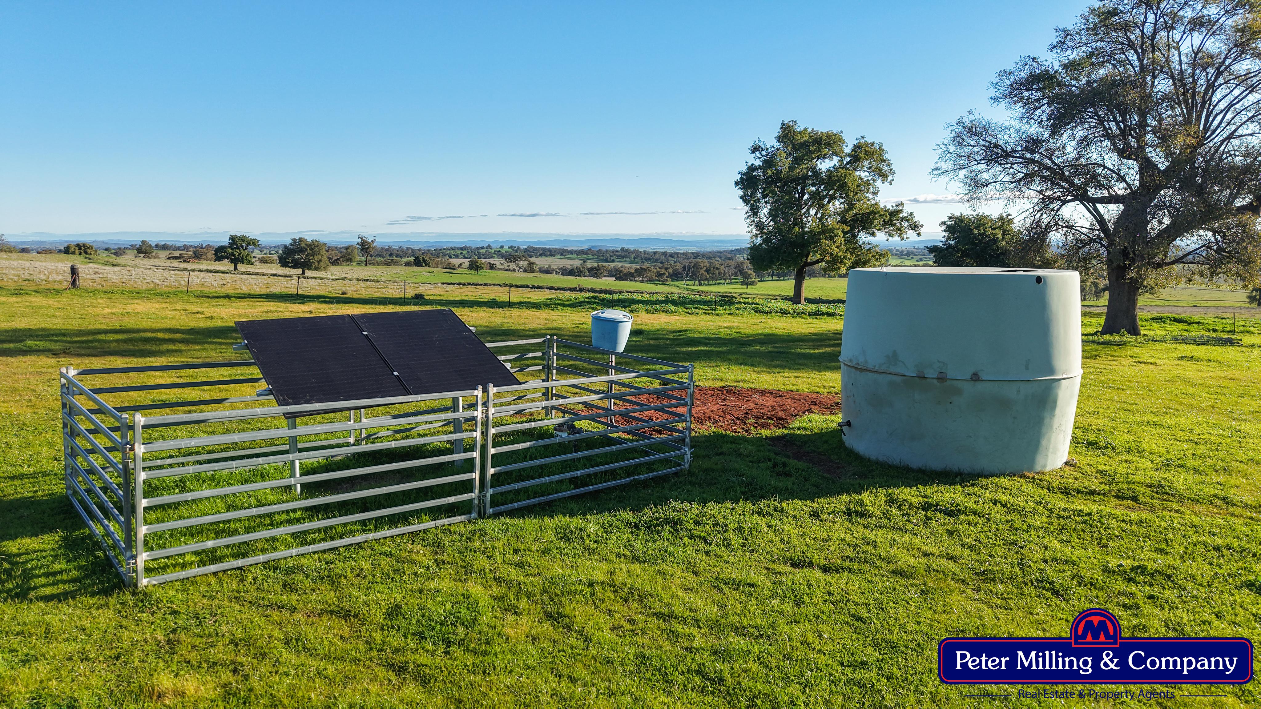 3 bedroom mixed farming property at 66 Kalua Lane, Geurie NSW 2818