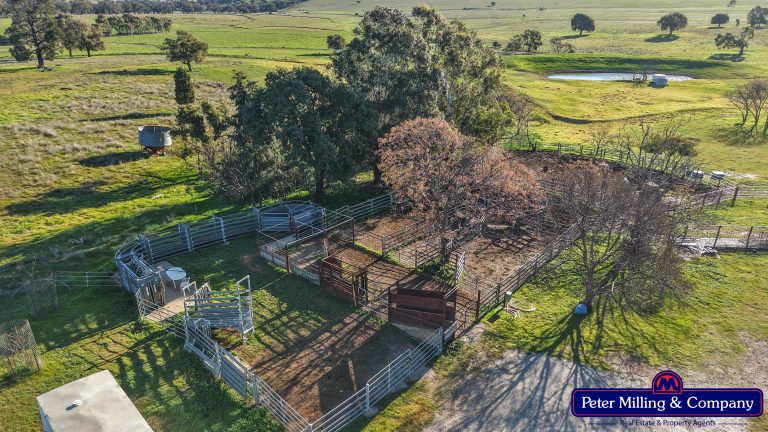 3 bedroom mixed farming property at 66 Kalua Lane, Geurie NSW 2818