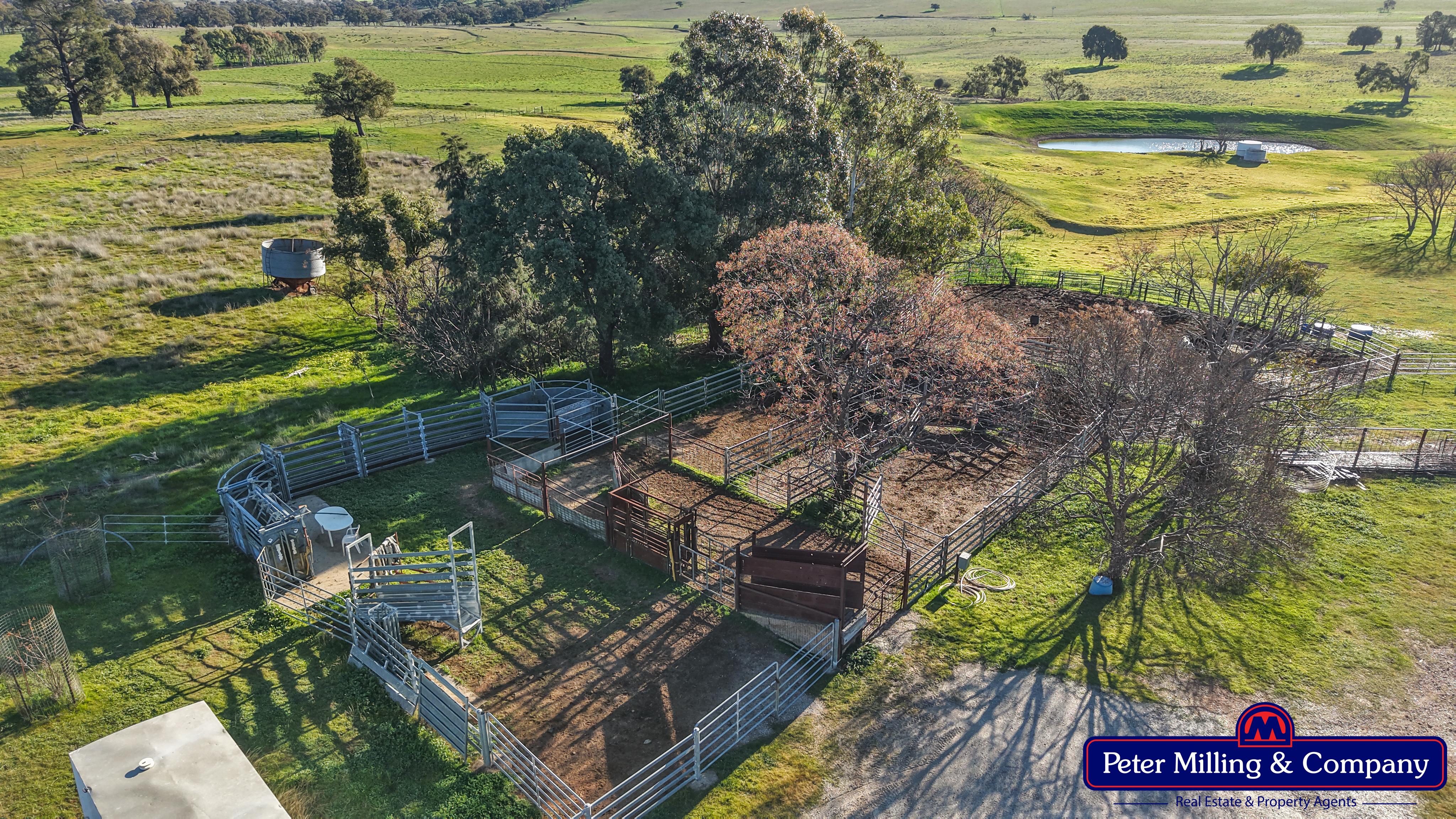 3 bedroom mixed farming property at 66 Kalua Lane, Geurie NSW 2818