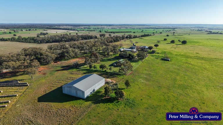 3 bedroom mixed farming property at 32R Albion Hills Road, Wongarbon NSW 2831