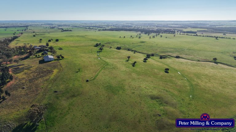 3 bedroom mixed farming property at 32R Albion Hills Road, Wongarbon NSW 2831