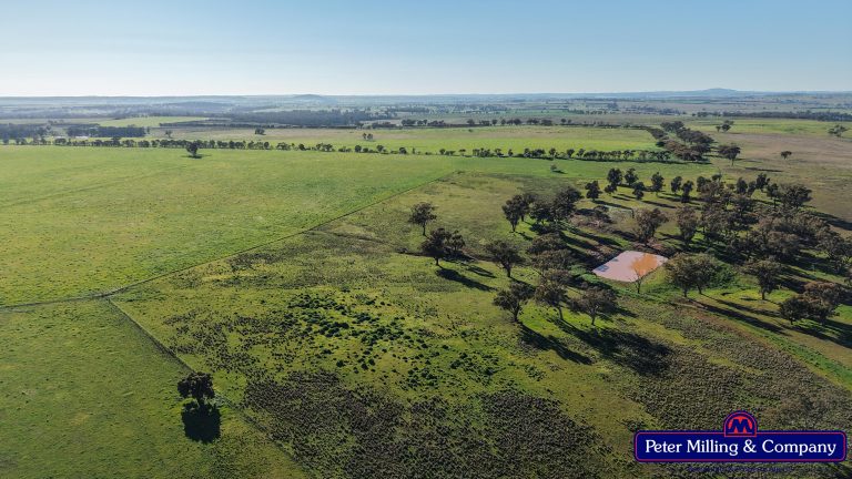 3 bedroom mixed farming property at 32R Albion Hills Road, Wongarbon NSW 2831