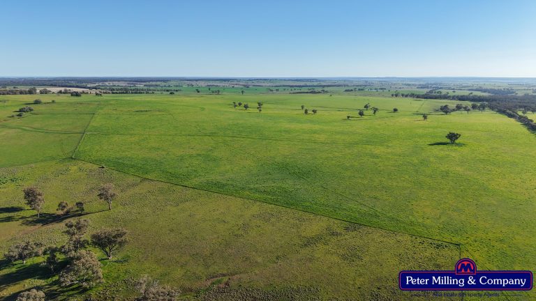3 bedroom mixed farming property at 32R Albion Hills Road, Wongarbon NSW 2831