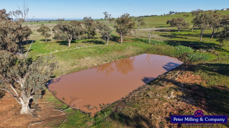 3 bedroom mixed farming property at 32R Albion Hills Road, Wongarbon NSW 2831