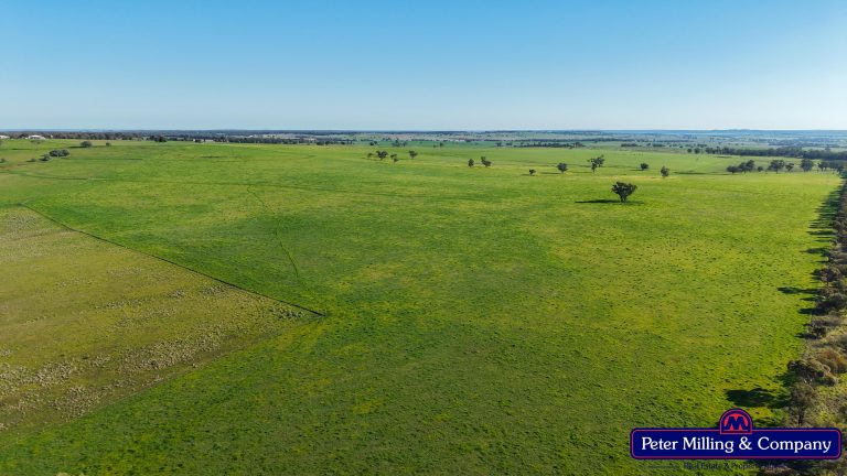 3 bedroom mixed farming property at 32R Albion Hills Road, Wongarbon NSW 2831