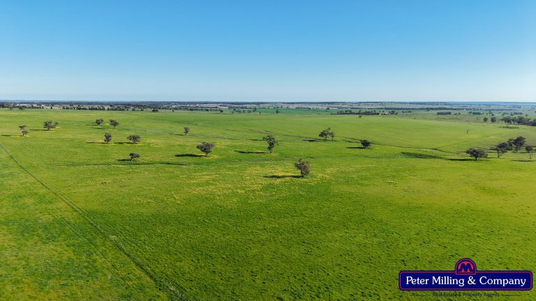 3 bedroom mixed farming property at 32R Albion Hills Road, Wongarbon NSW 2831