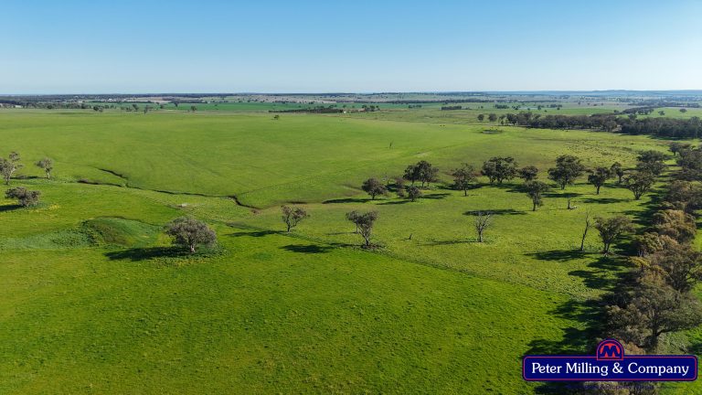 3 bedroom mixed farming property at 32R Albion Hills Road, Wongarbon NSW 2831