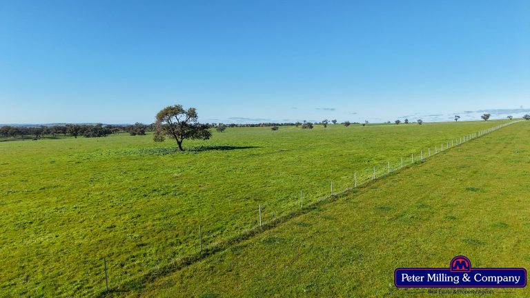 3 bedroom mixed farming property at 32R Albion Hills Road, Wongarbon NSW 2831