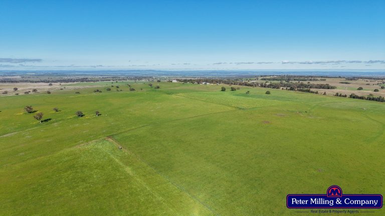 3 bedroom mixed farming property at 32R Albion Hills Road, Wongarbon NSW 2831