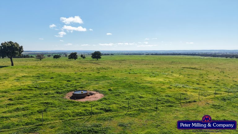 3 bedroom mixed farming property at 32R Albion Hills Road, Wongarbon NSW 2831