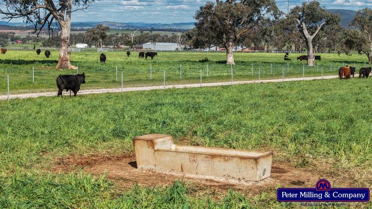 2 bedroom lifestyle property at 160 Twiggs Road, Maryvale NSW 2820