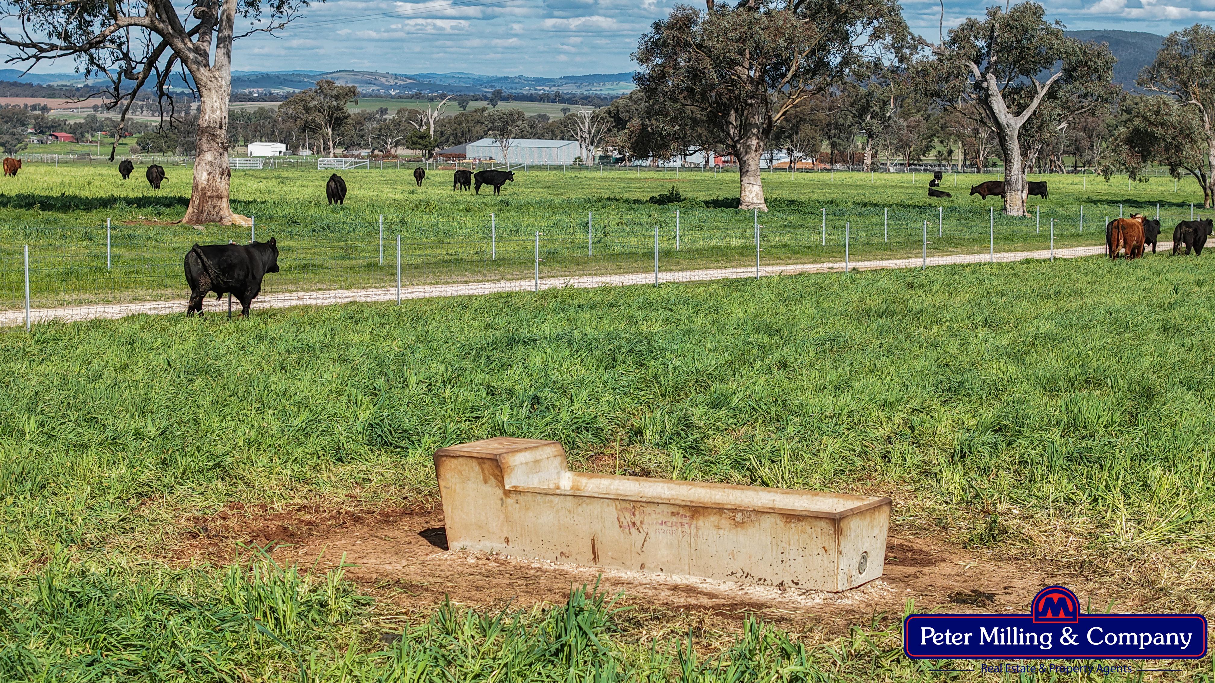 2 bedroom lifestyle property at 160 Twiggs Road, Maryvale NSW 2820