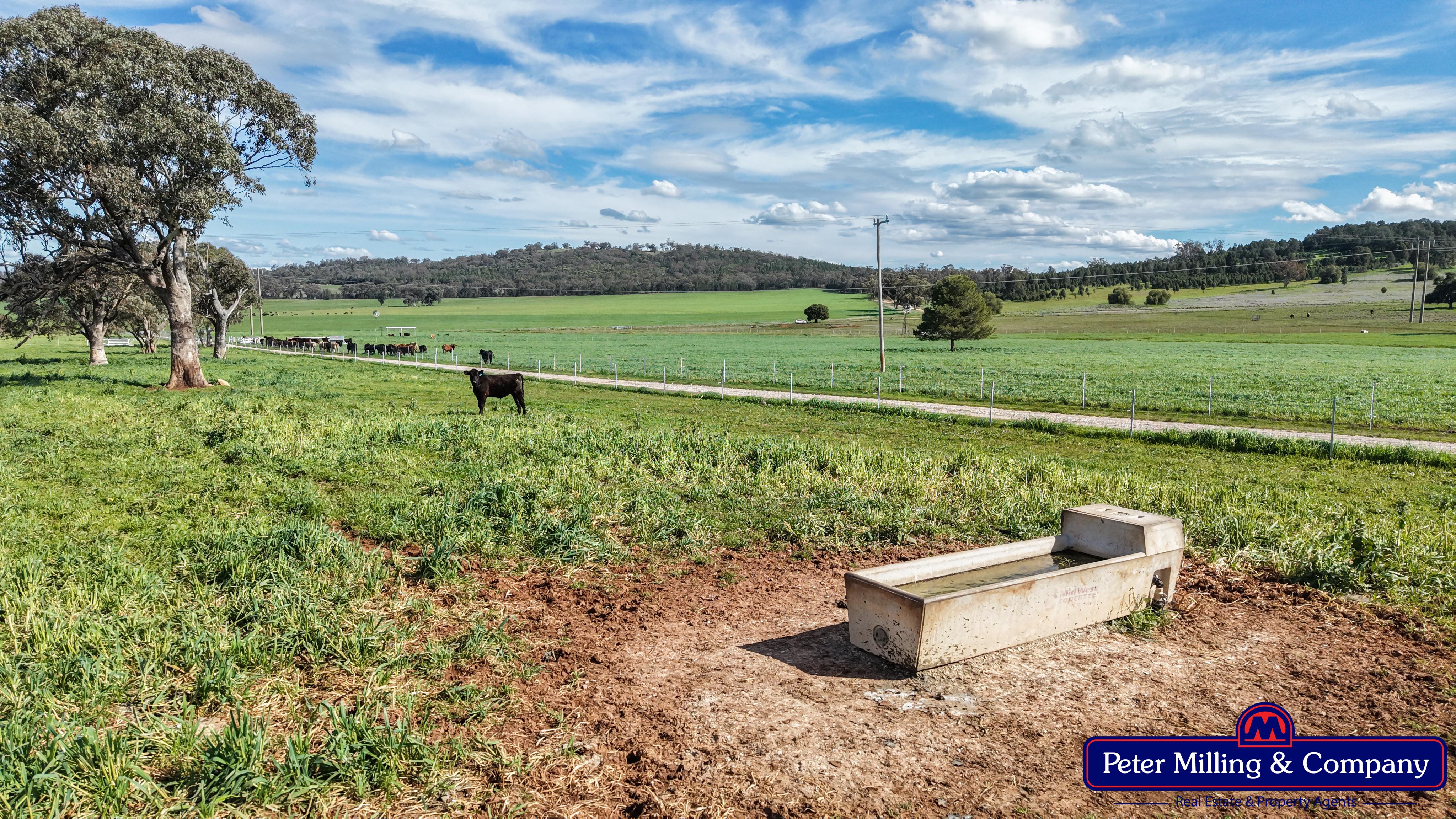 2 bedroom lifestyle property at 160 Twiggs Road, Maryvale NSW 2820