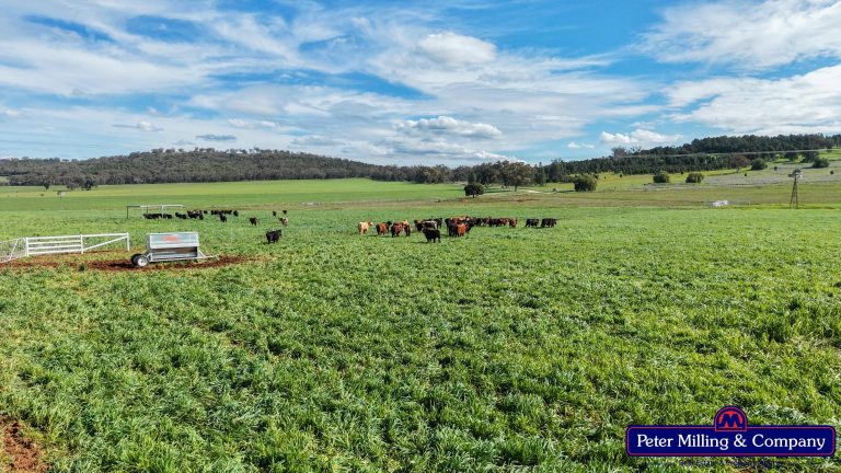2 bedroom lifestyle property at 160 Twiggs Road, Maryvale NSW 2820
