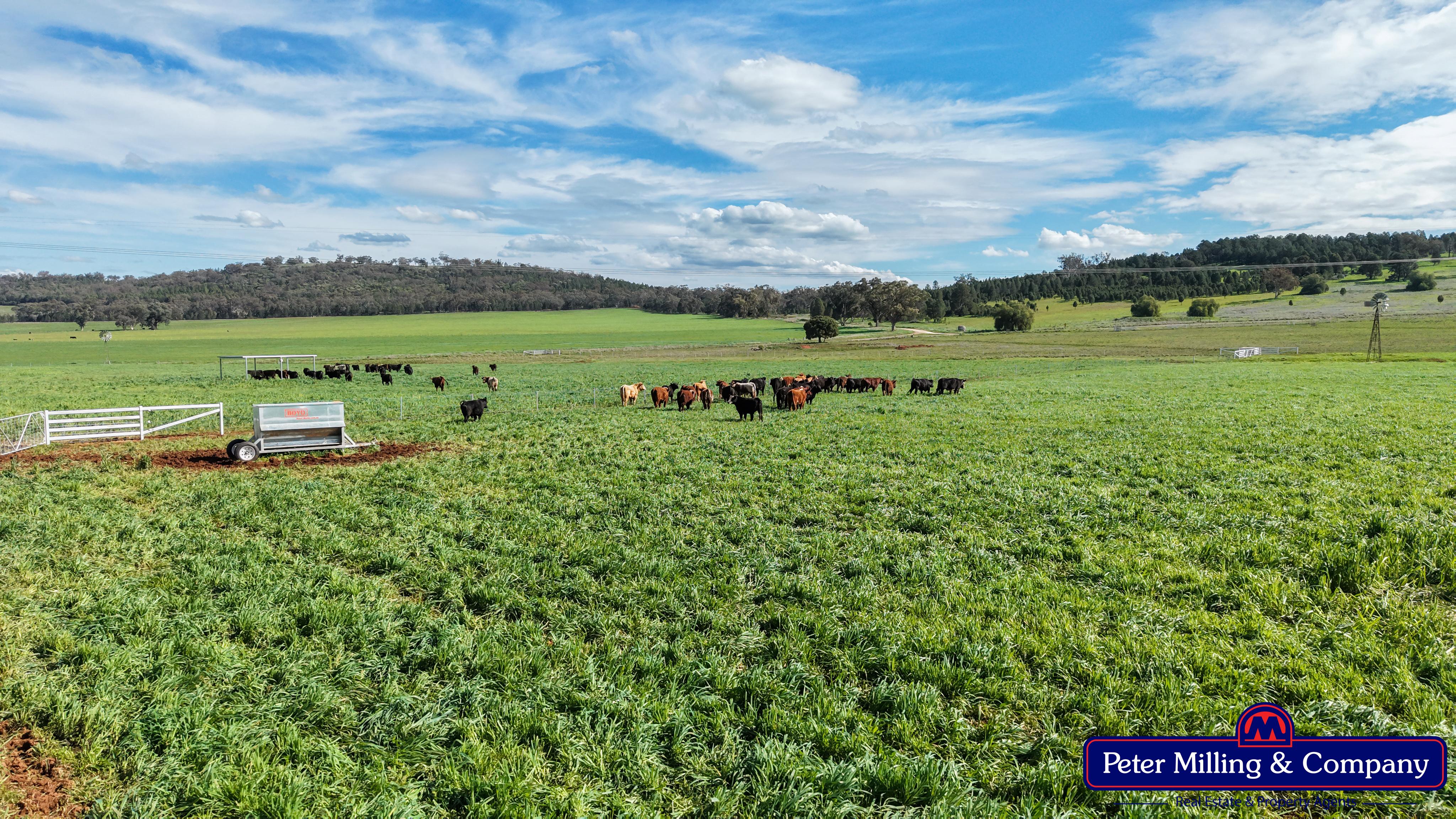 2 bedroom lifestyle property at 160 Twiggs Road, Maryvale NSW 2820