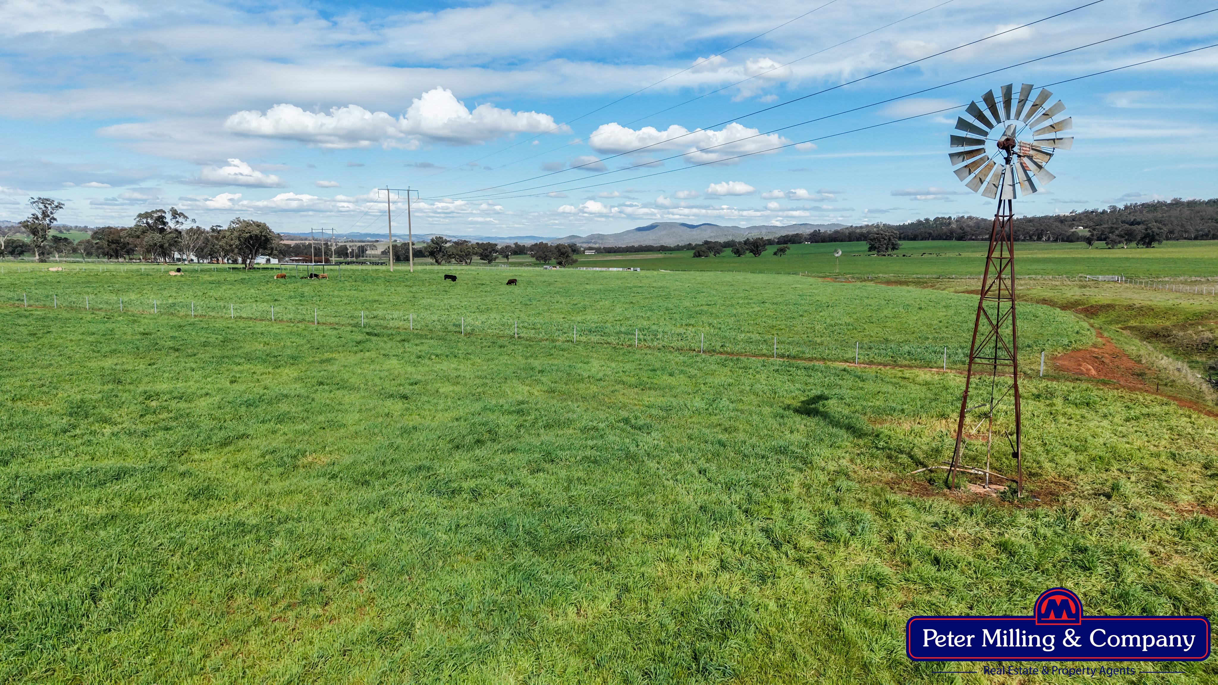 2 bedroom lifestyle property at 160 Twiggs Road, Maryvale NSW 2820
