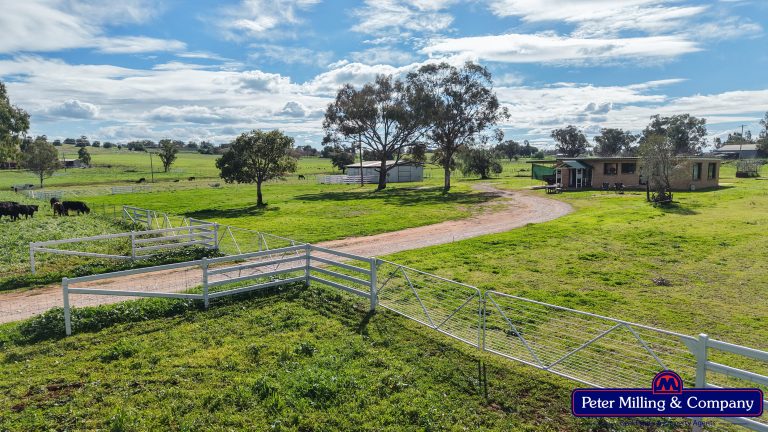 2 bedroom lifestyle property at 160 Twiggs Road, Maryvale NSW 2820