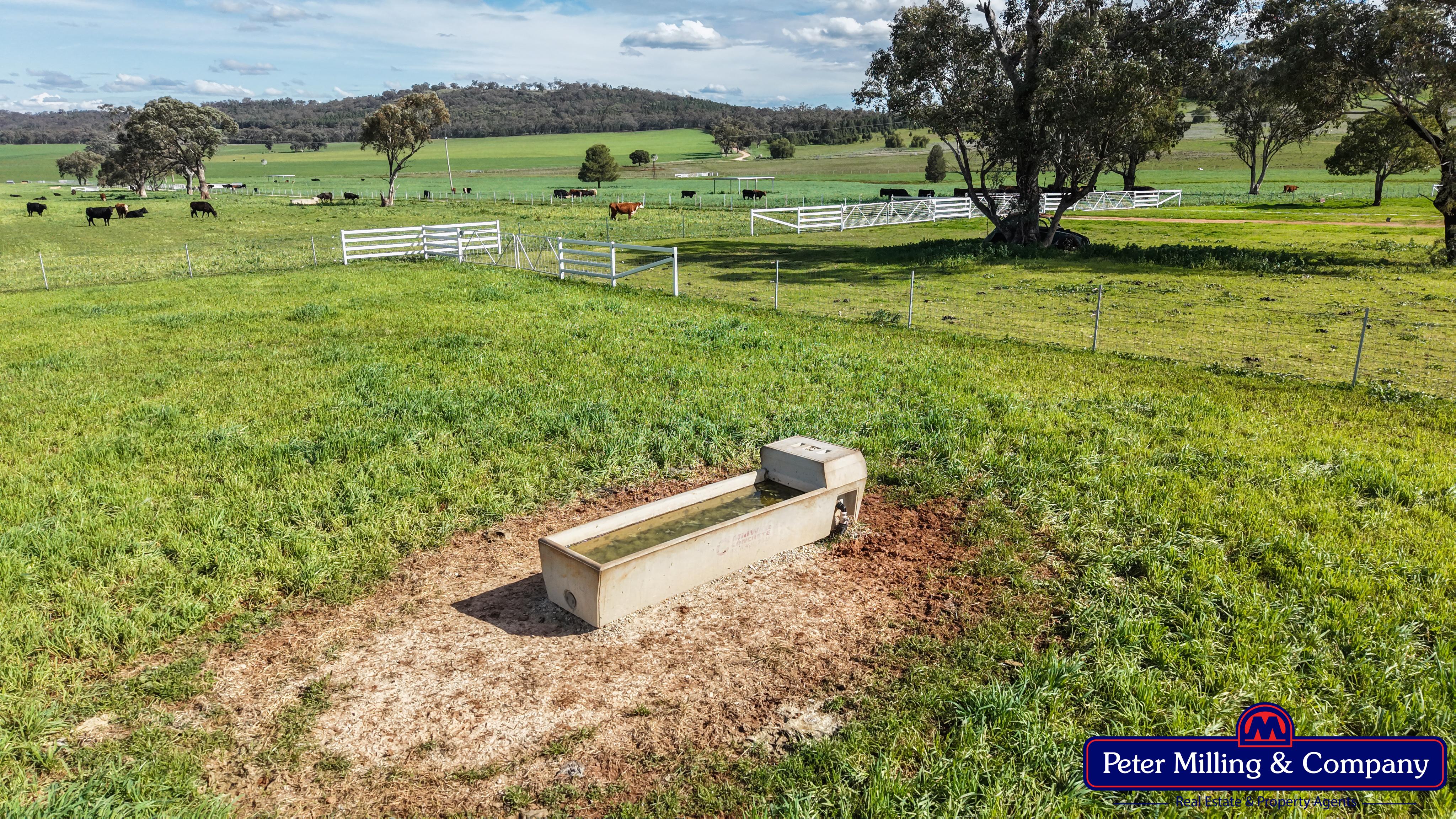 2 bedroom lifestyle property at 160 Twiggs Road, Maryvale NSW 2820