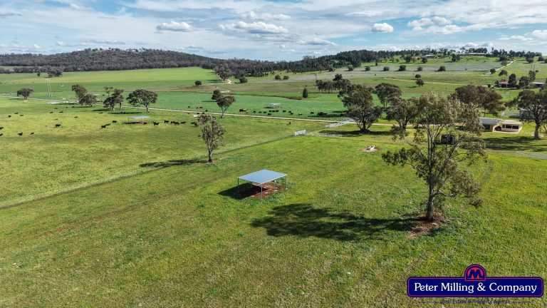 2 bedroom lifestyle property at 160 Twiggs Road, Maryvale NSW 2820