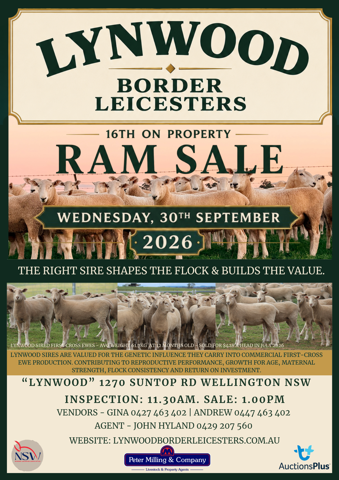 Lynwood Border Leicesters – 16th On Property Ram Sale - Peter Milling & Company