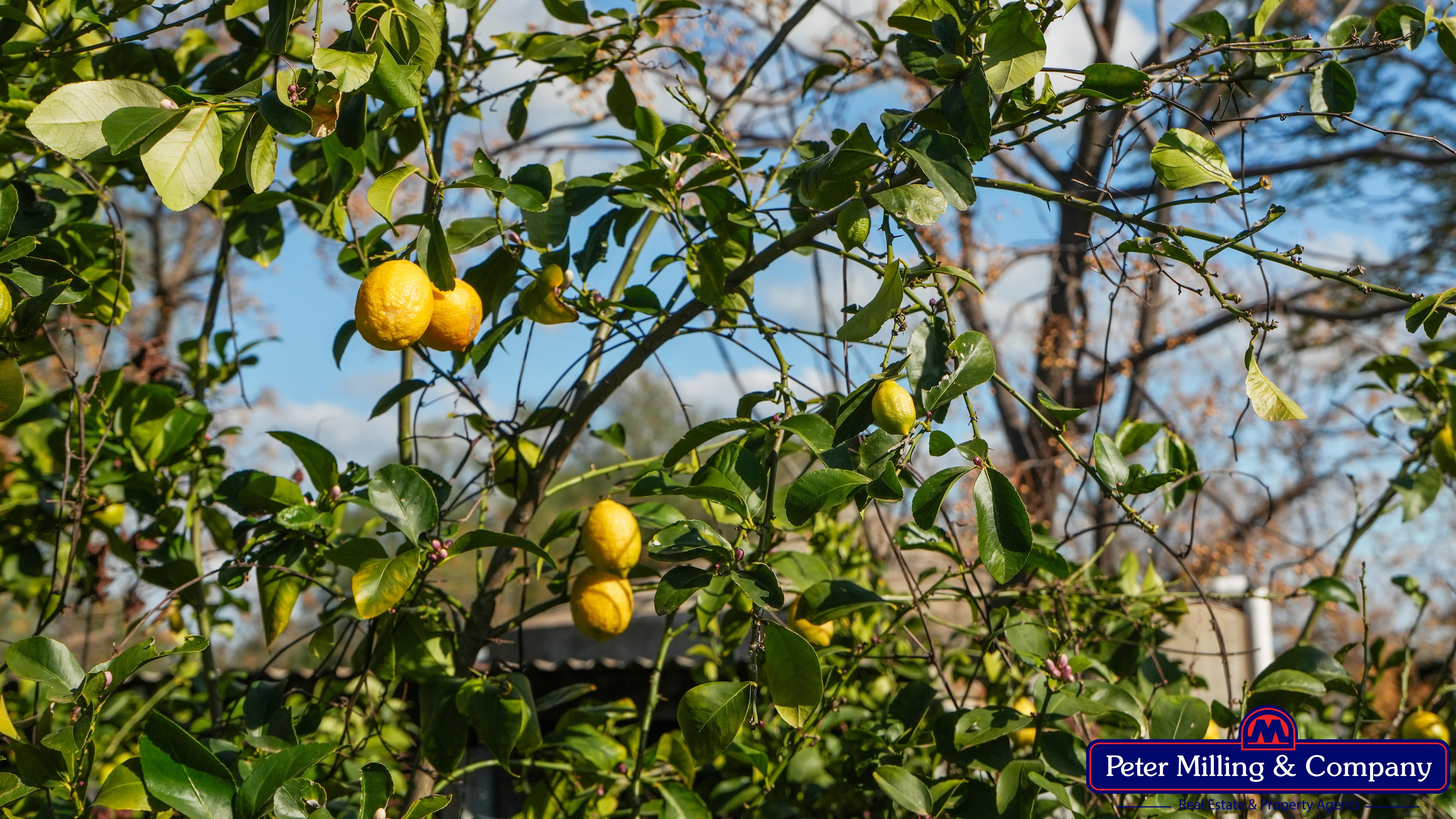 3 bedroom cropping property at 61L Terraview Road, Dubbo NSW 2830