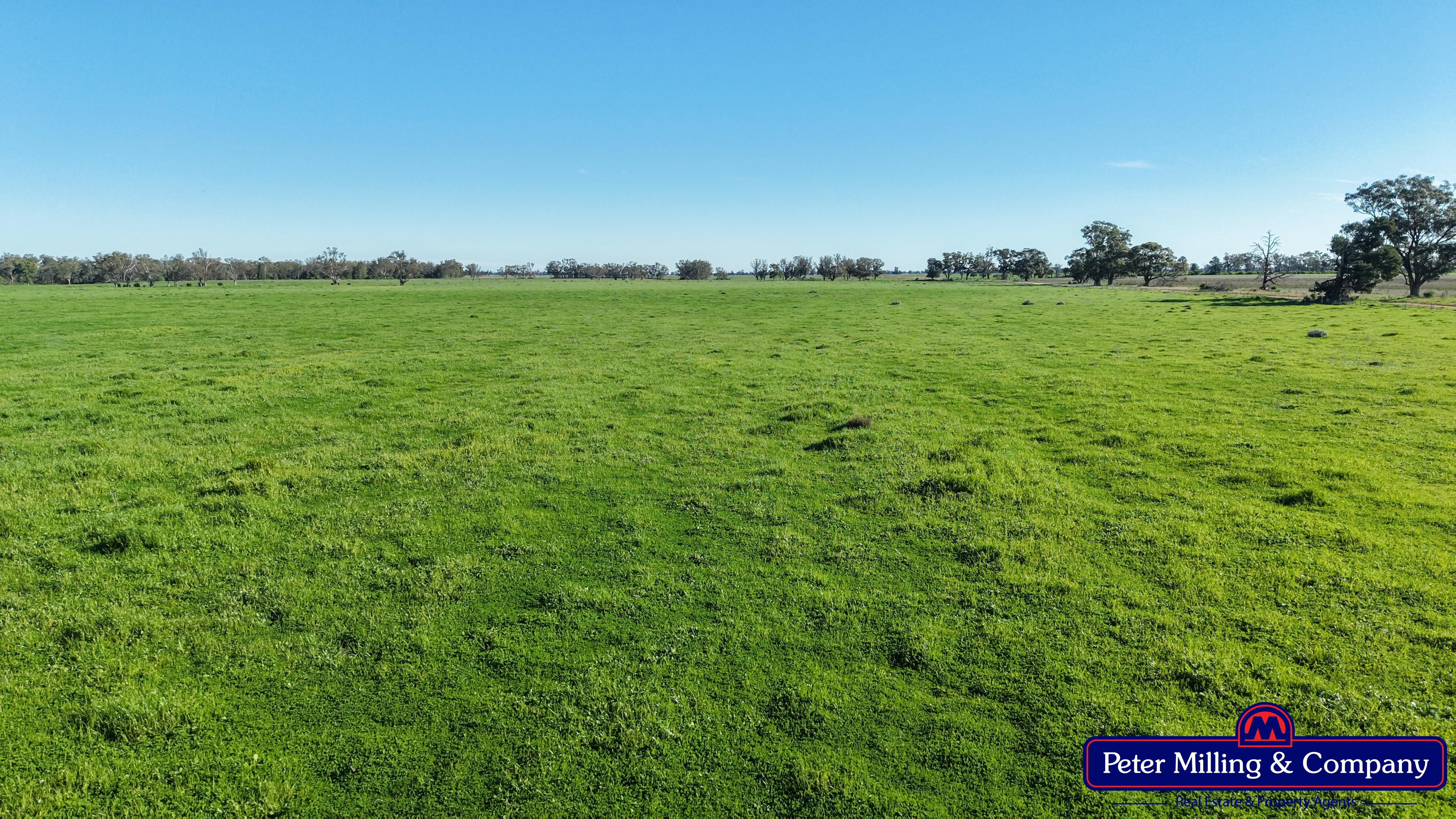 3 bedroom cropping property at 61L Terraview Road, Dubbo NSW 2830