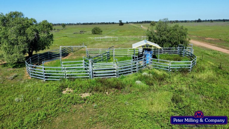 4 bedroom mixed farming property at 'Kartika' 431 Logans Road, Tottenham NSW 2873