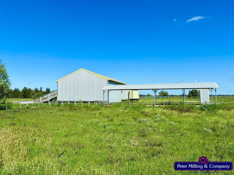 4 bedroom mixed farming property at 'Kartika' 431 Logans Road, Tottenham NSW 2873