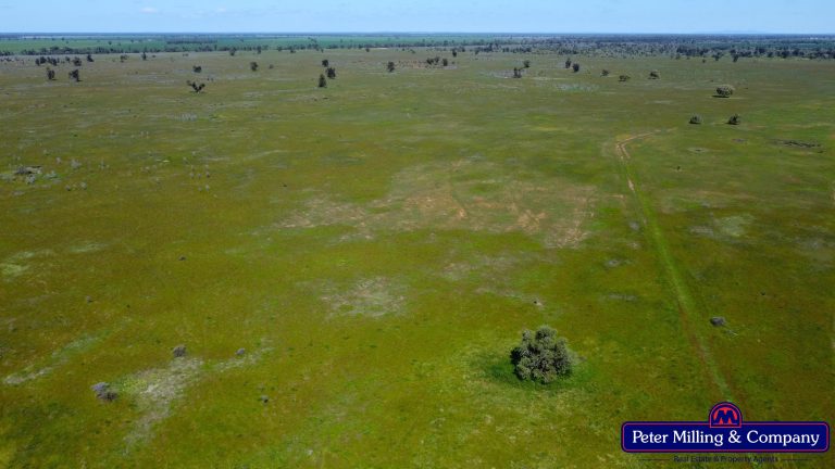 4 bedroom mixed farming property at 'Kartika' 431 Logans Road, Tottenham NSW 2873