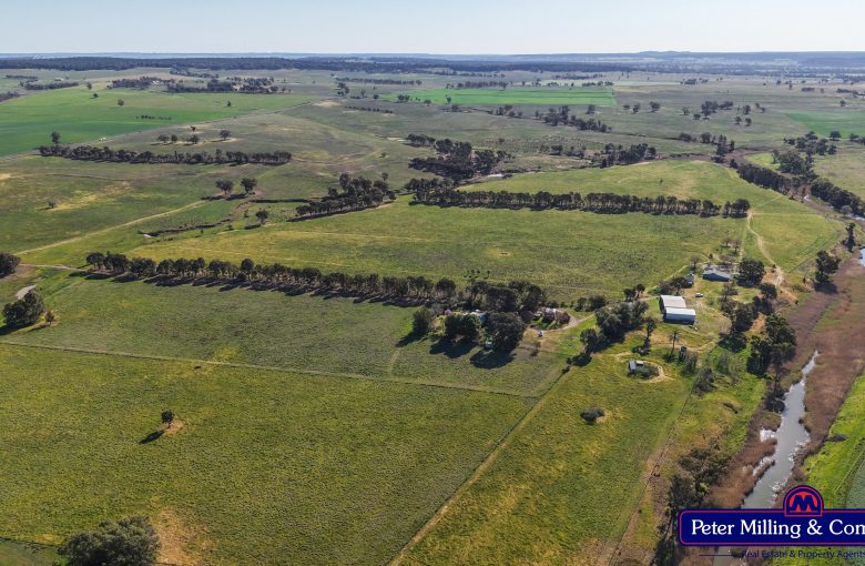 4 bedroom cropping property at 162 Muronbong Road, Gollan NSW 2820
