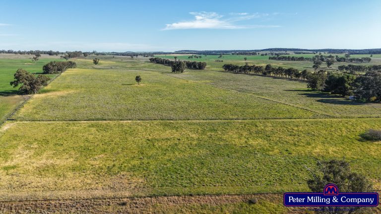 4 bedroom cropping property at 162 Muronbong Road, Gollan NSW 2820