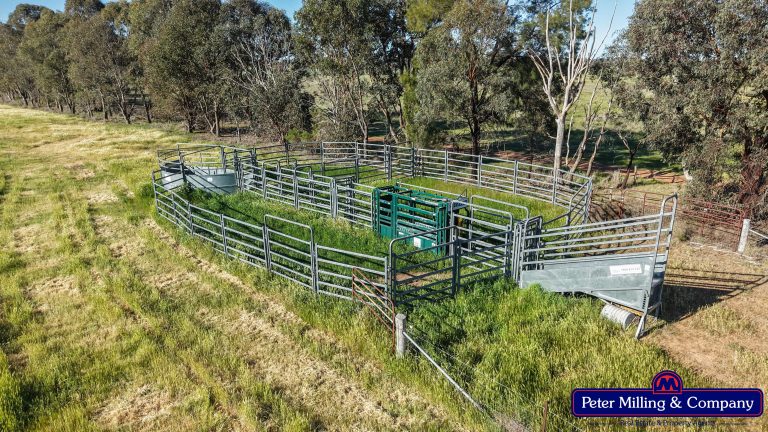 4 bedroom cropping property at 162 Muronbong Road, Gollan NSW 2820