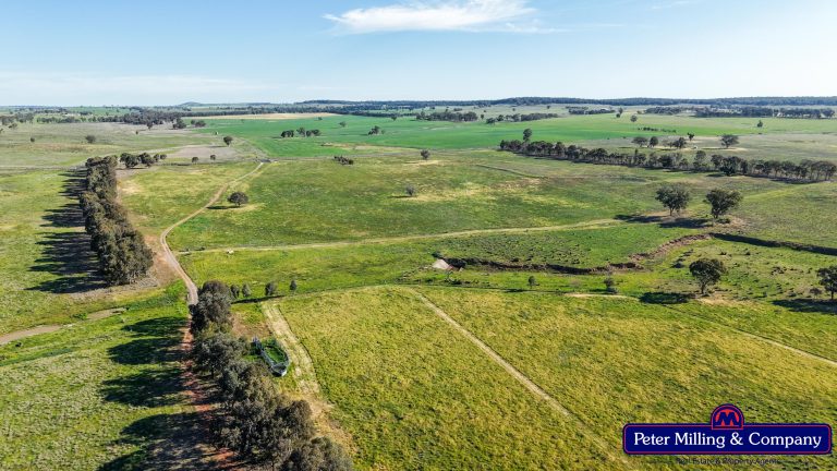 4 bedroom cropping property at 162 Muronbong Road, Gollan NSW 2820