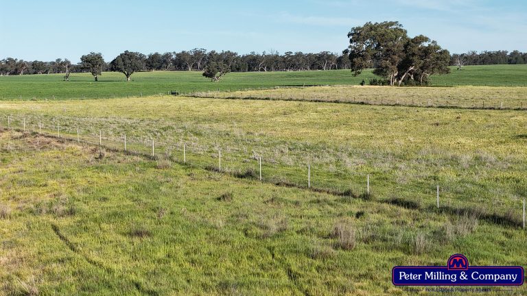 4 bedroom cropping property at 162 Muronbong Road, Gollan NSW 2820