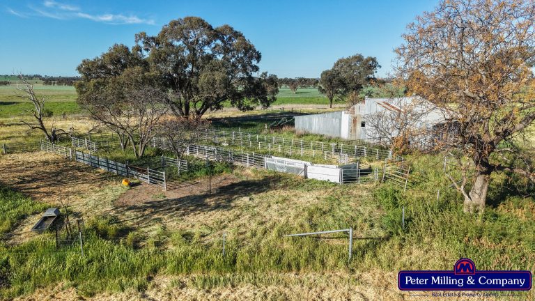 4 bedroom cropping property at 162 Muronbong Road, Gollan NSW 2820