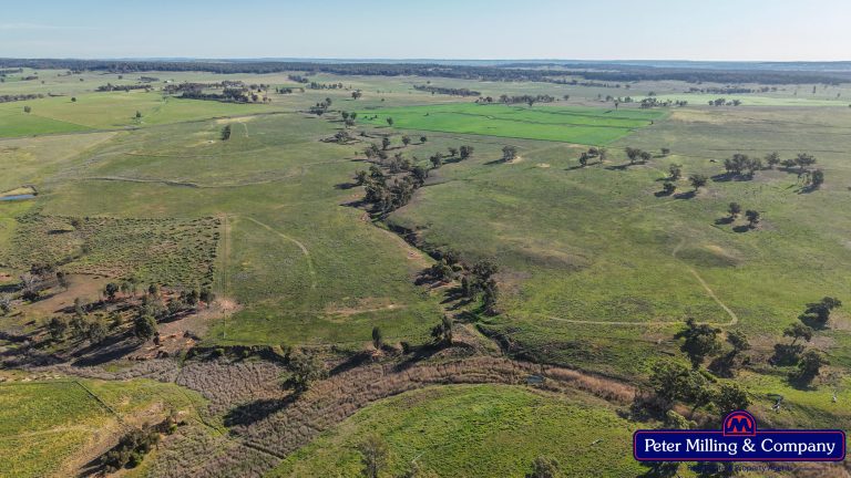 4 bedroom cropping property at 162 Muronbong Road, Gollan NSW 2820