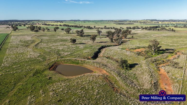4 bedroom cropping property at 162 Muronbong Road, Gollan NSW 2820