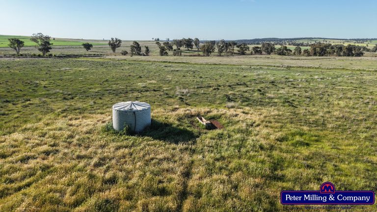 4 bedroom cropping property at 162 Muronbong Road, Gollan NSW 2820