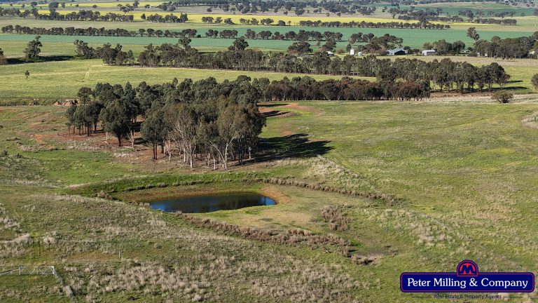 4 bedroom cropping property at 162 Muronbong Road, Gollan NSW 2820