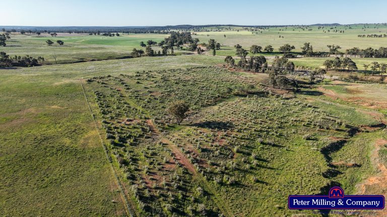4 bedroom cropping property at 162 Muronbong Road, Gollan NSW 2820