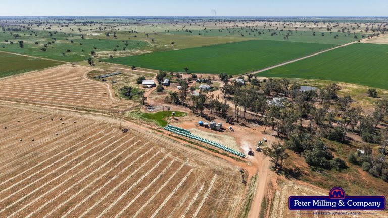 Cropping property at 8574 Mitchell Highway, Trangie NSW 2823