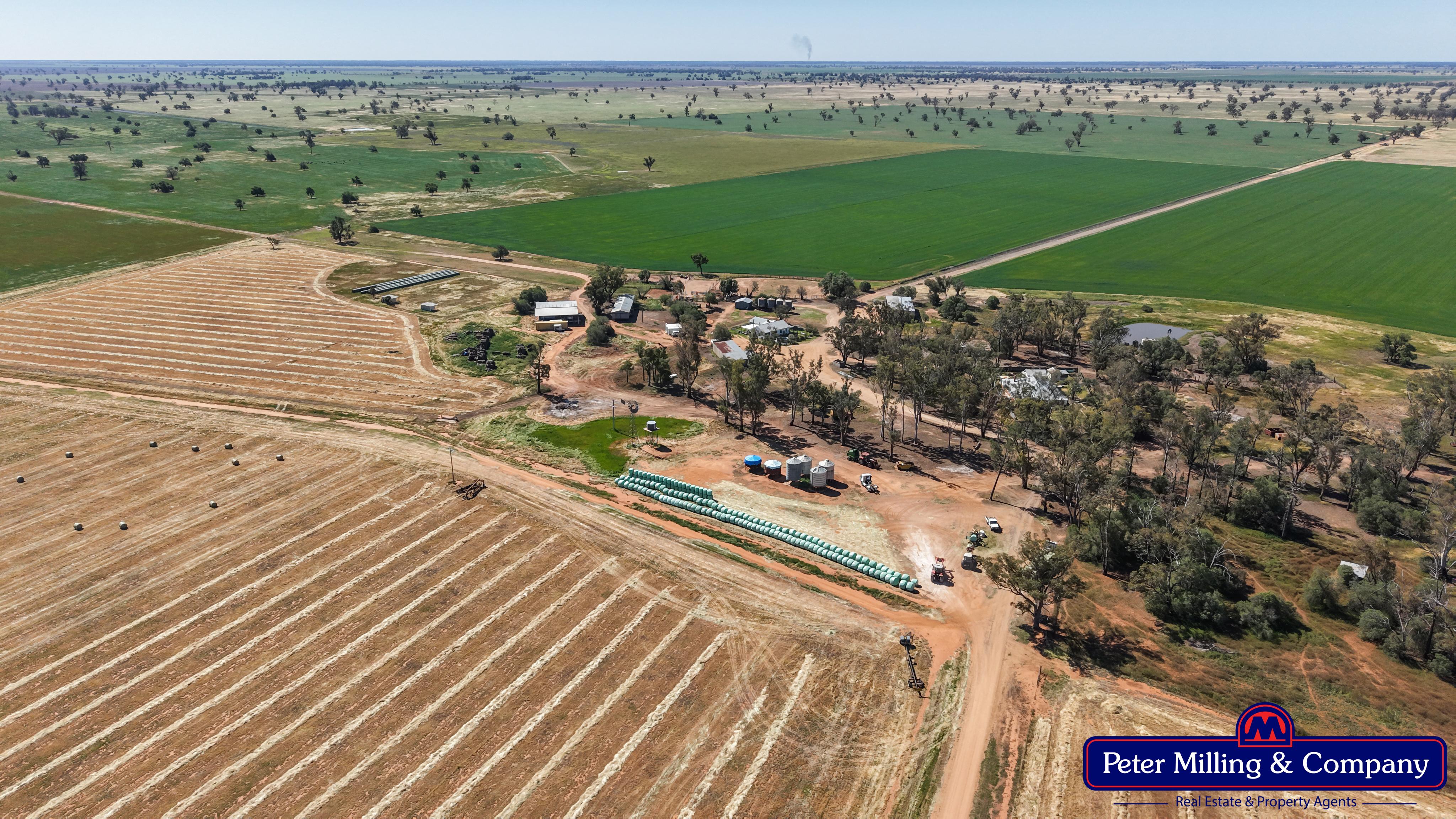 Cropping property at 8574 Mitchell Highway, Trangie NSW 2823