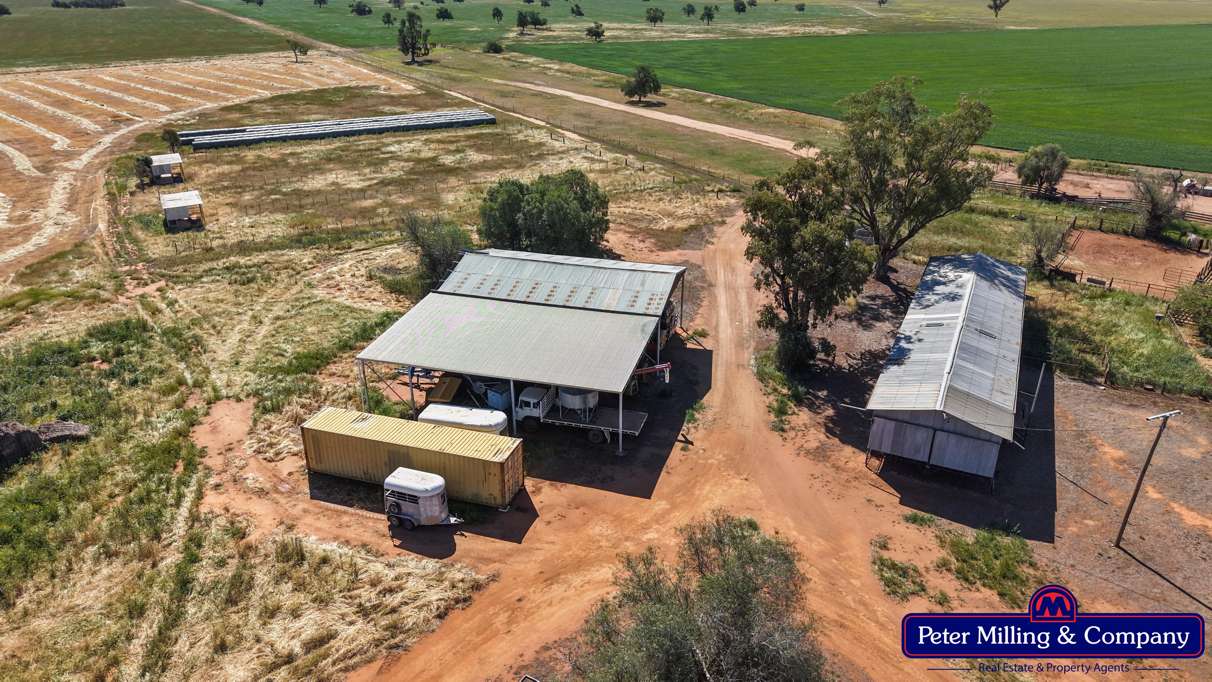 Cropping property at 8574 Mitchell Highway, Trangie NSW 2823