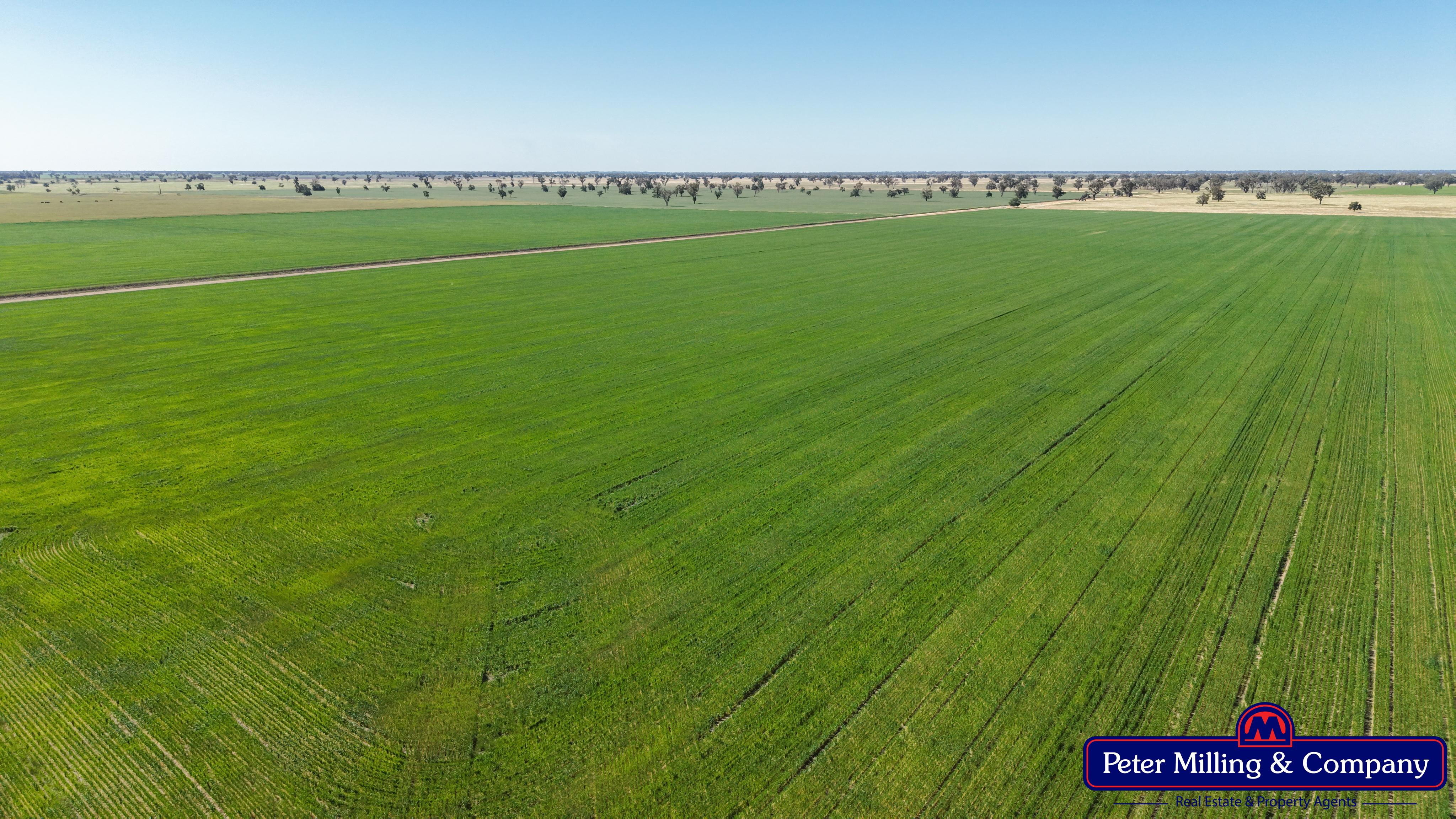Cropping property at 8574 Mitchell Highway, Trangie NSW 2823